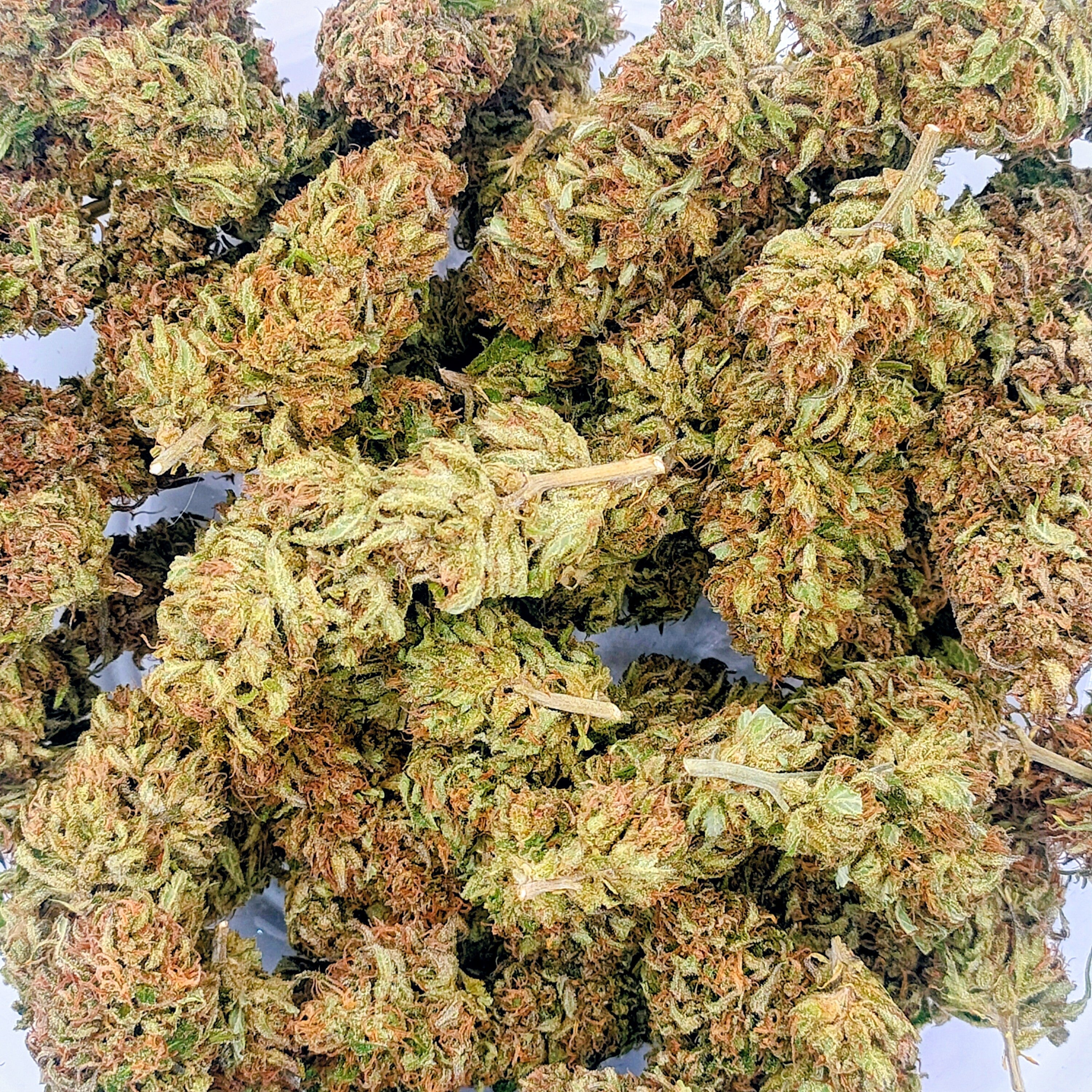 Fleurs CBD bio de tous calibres et à tous les prix !