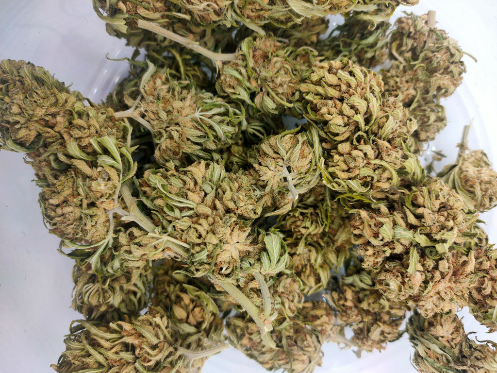 ❄️🌿 Frozen CBG - Big Bud