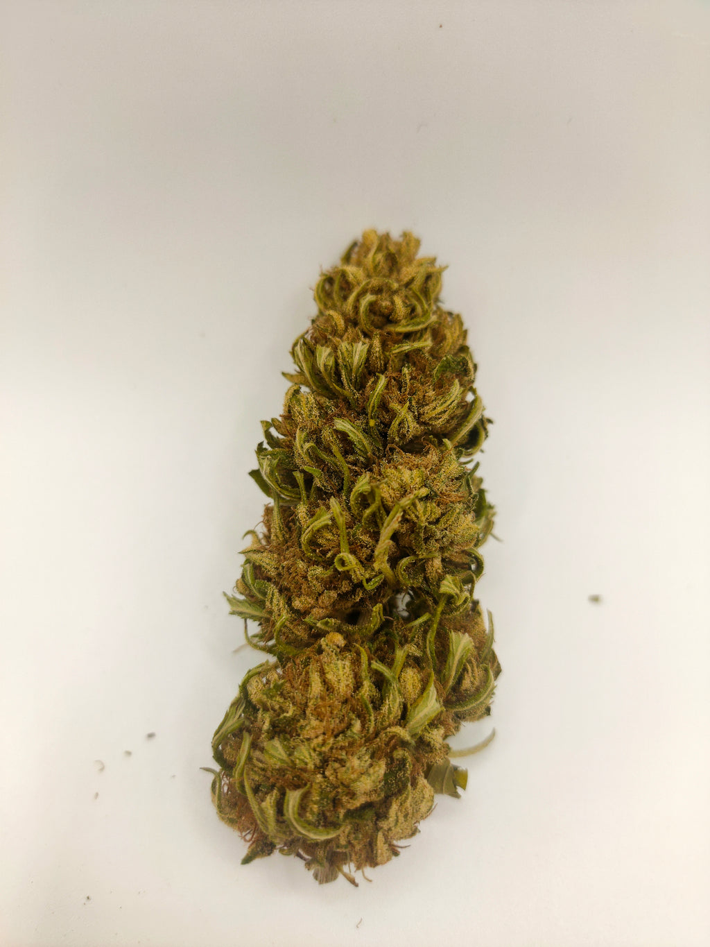 ❄️🌿 Frozen CBG - Big Bud