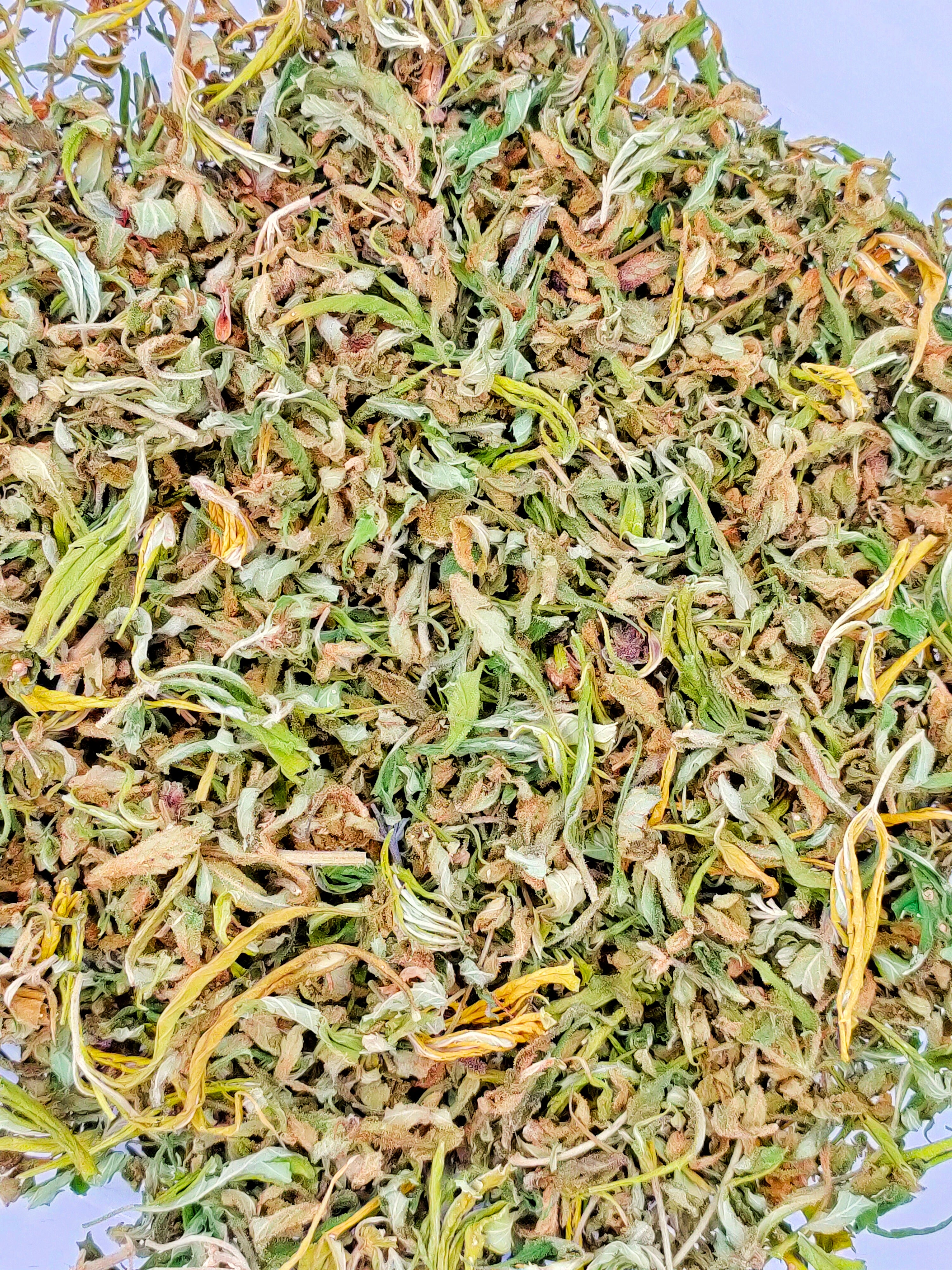 Trim et Small Bud CBD