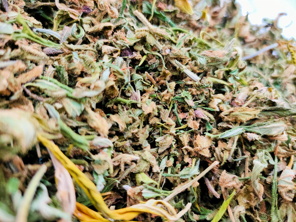 Trim et Small Bud CBD