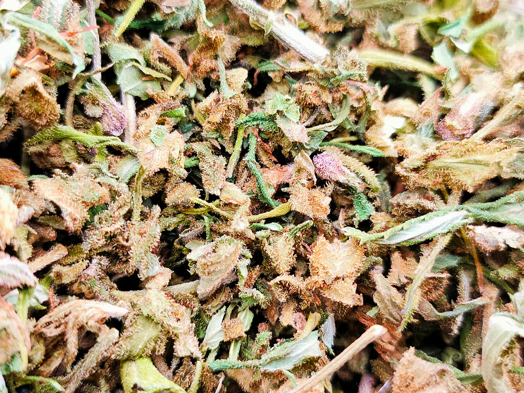Trim et Small Bud CBD