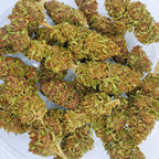 🍓⛽ Skunk Jam CBD - Big Bud Premium