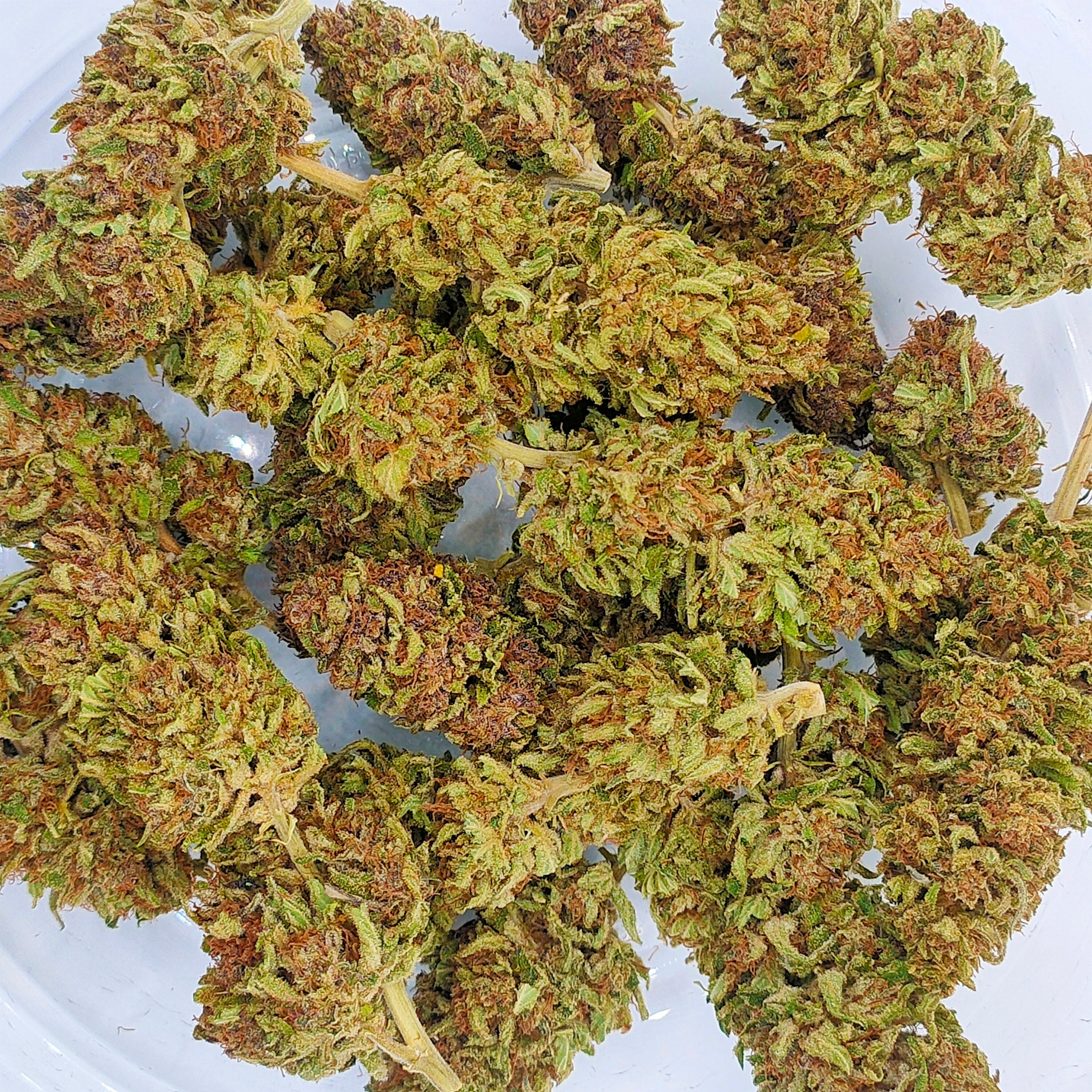 🍓⛽ Skunk Jam CBD - Big Bud Premium