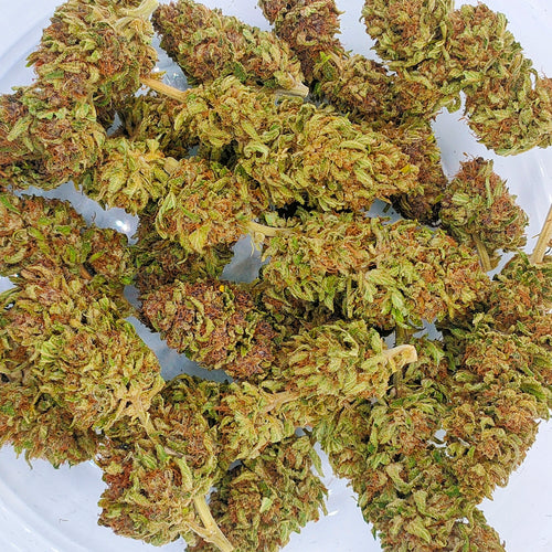 🍓⛽ Skunk Jam CBD - Big Bud Premium