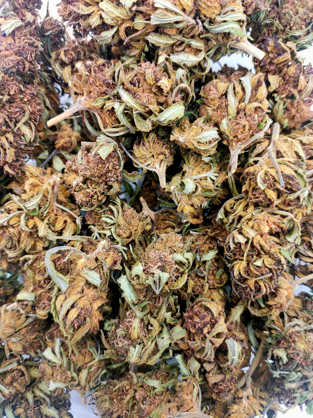 🍇🌸 Abacus CBD - Big Bud