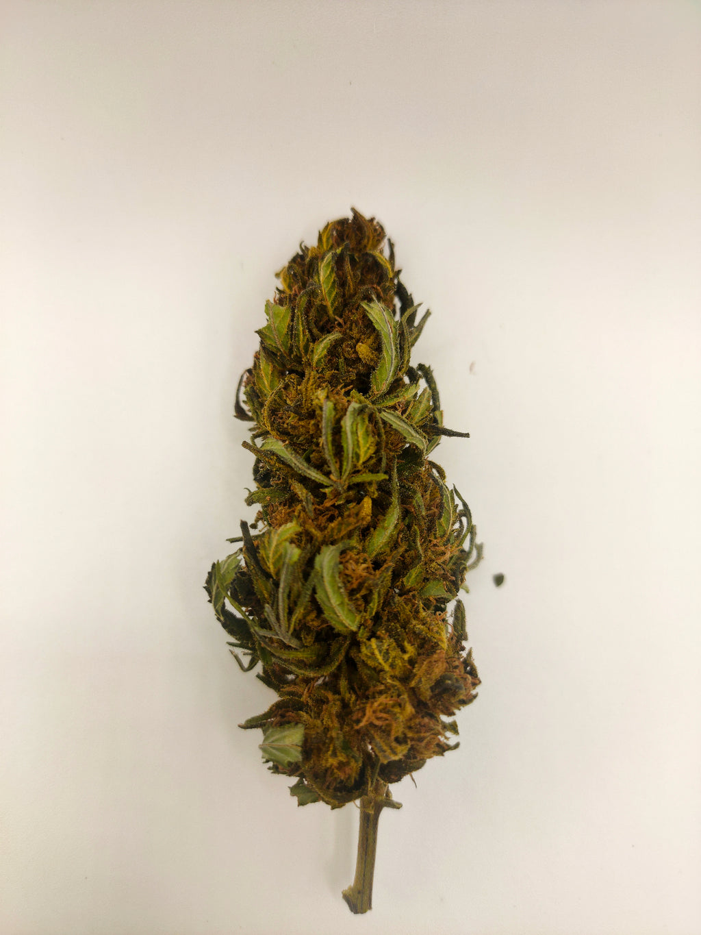 🍇🌸 Abacus CBD - Big Bud