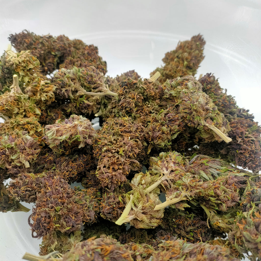 🌸 Blue Orchid CBD - Big Bud Premium