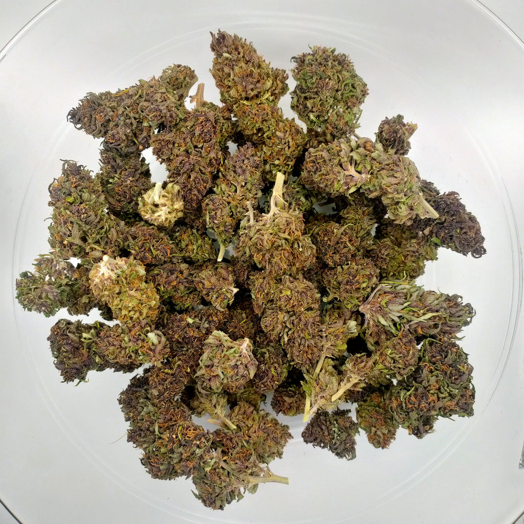 🌸 Blue Orchid CBD - Big Bud Premium