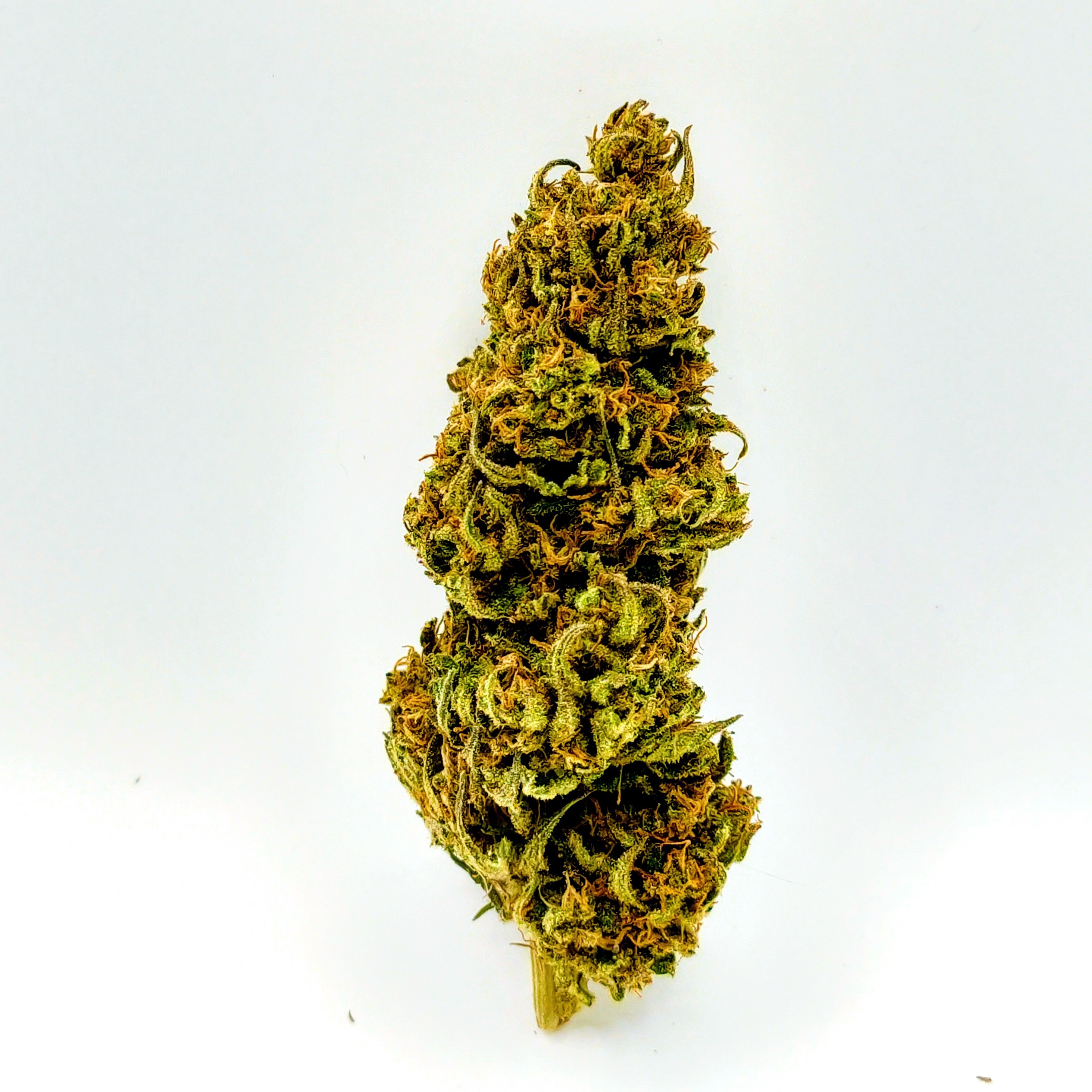 🍒🥭 Cherry Mango - Big Bud Premium