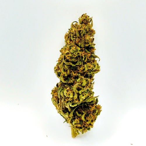 🍒🥭 Cherry Mango - Big Bud Premium