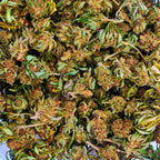 🥭 Mangolomania CBD – Small Bud