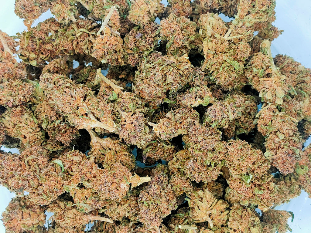 ⛽🌲 Legendary Platinum OG Diesel Edition CBD - Big Bud