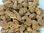 ⛽🌲 Legendary Platinum OG Diesel Edition CBD - Big Bud