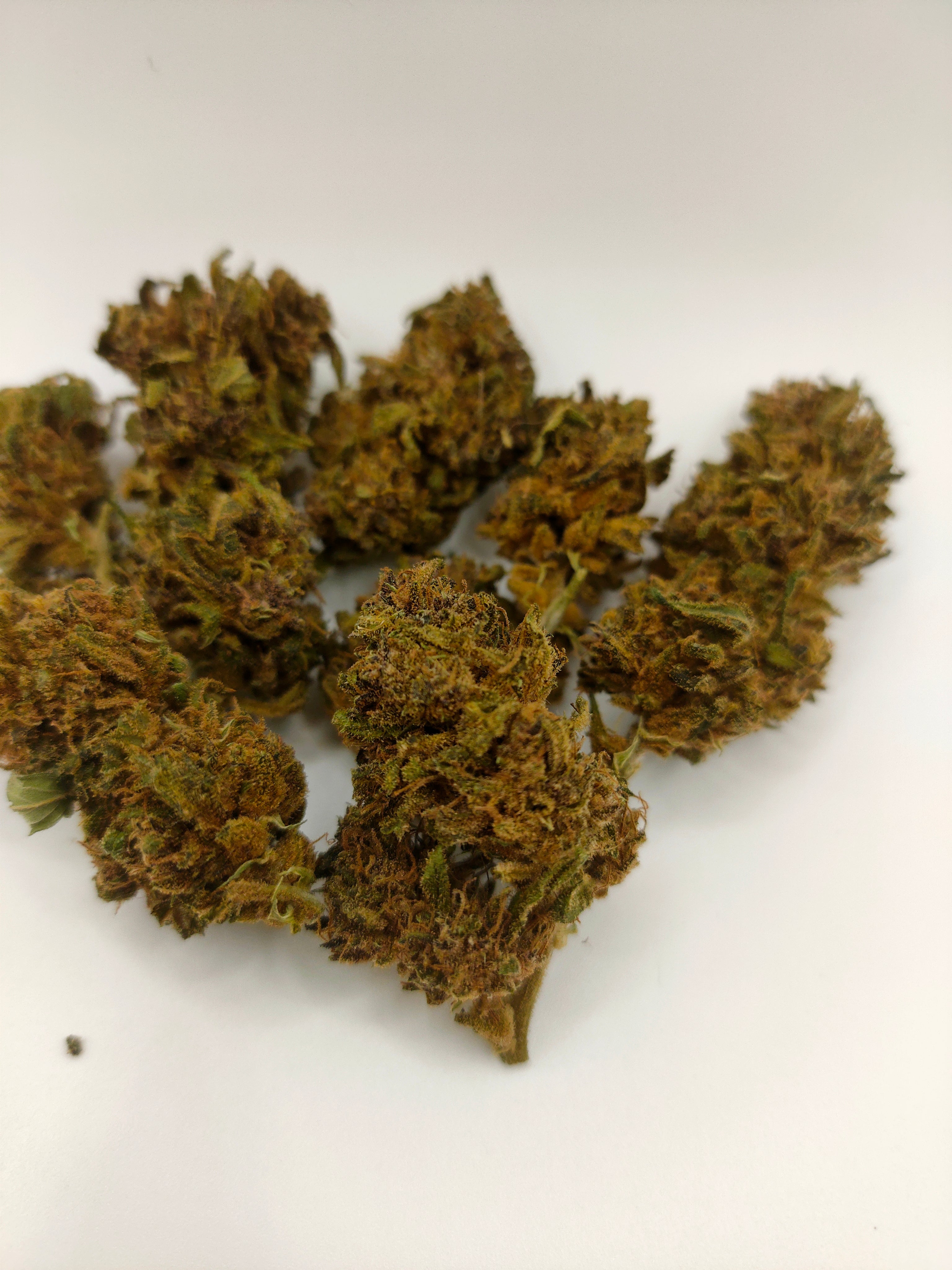 ⛽🌲 Legendary Platinum OG Diesel Edition CBD - Big Bud