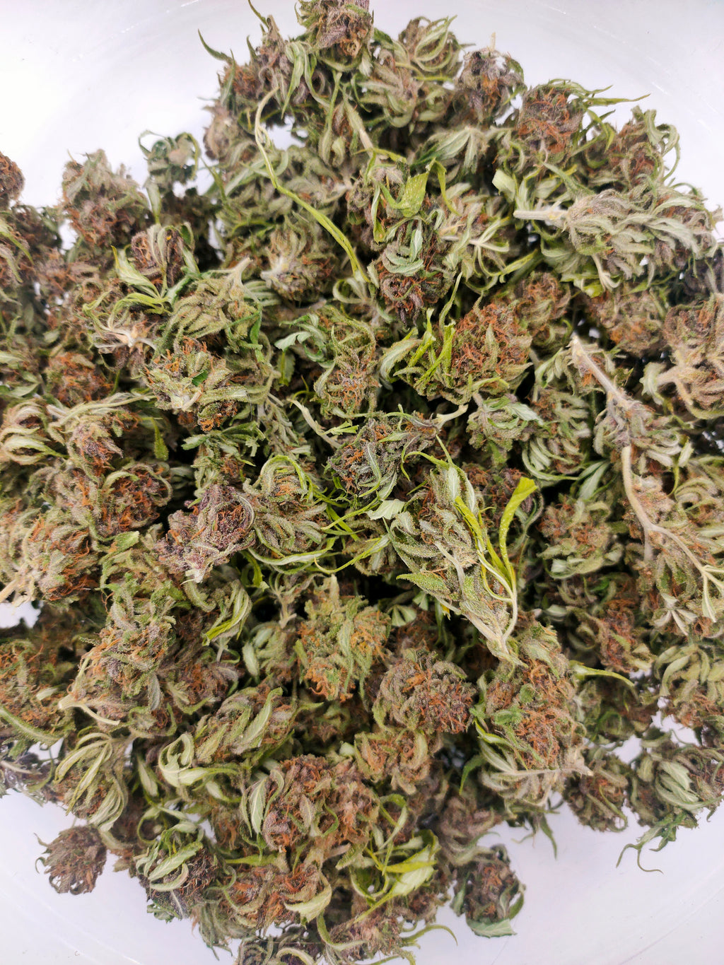 🌈🍊 Rainbow Warrior CBD – Small Bud
