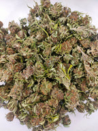 🌈🍊 Rainbow Warrior CBD – Small Bud