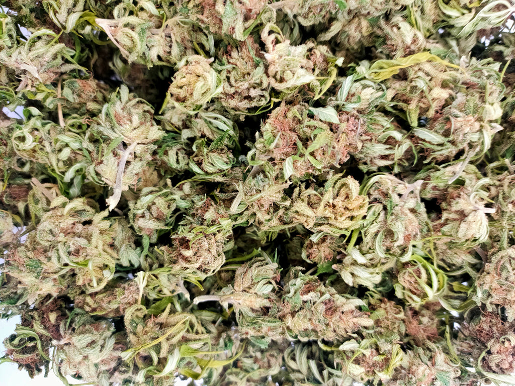🍬🚀 Super Sour Space Candy CBD – Small Bud